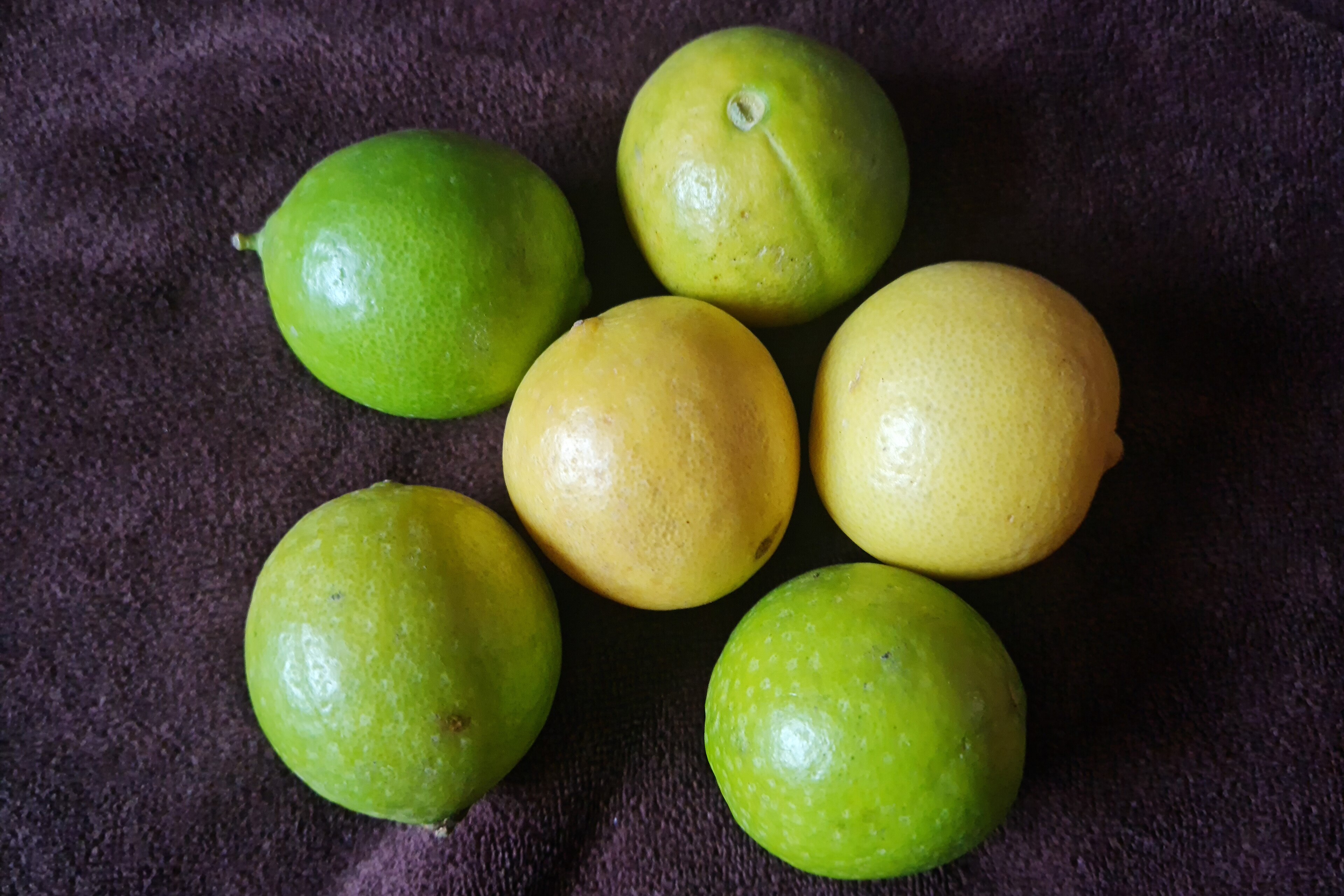 Misket Limonu (Lime)