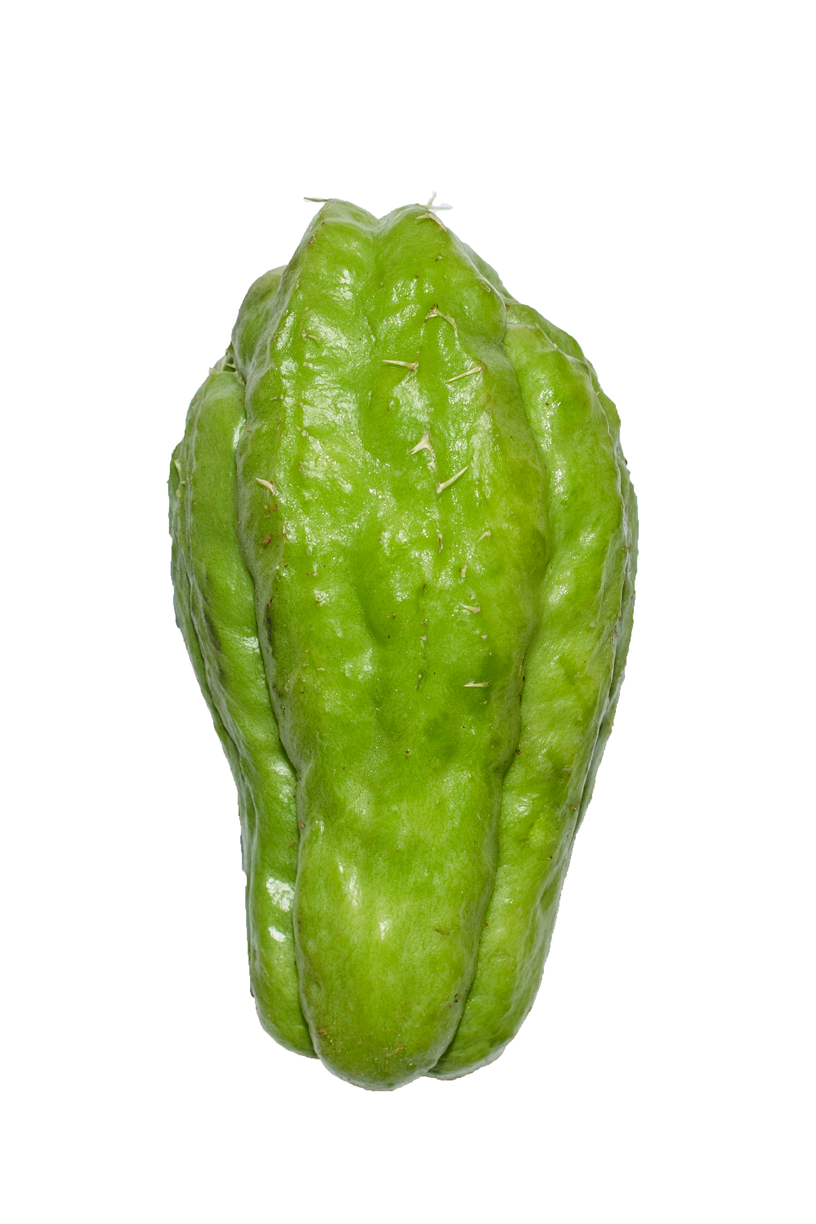 Çayot