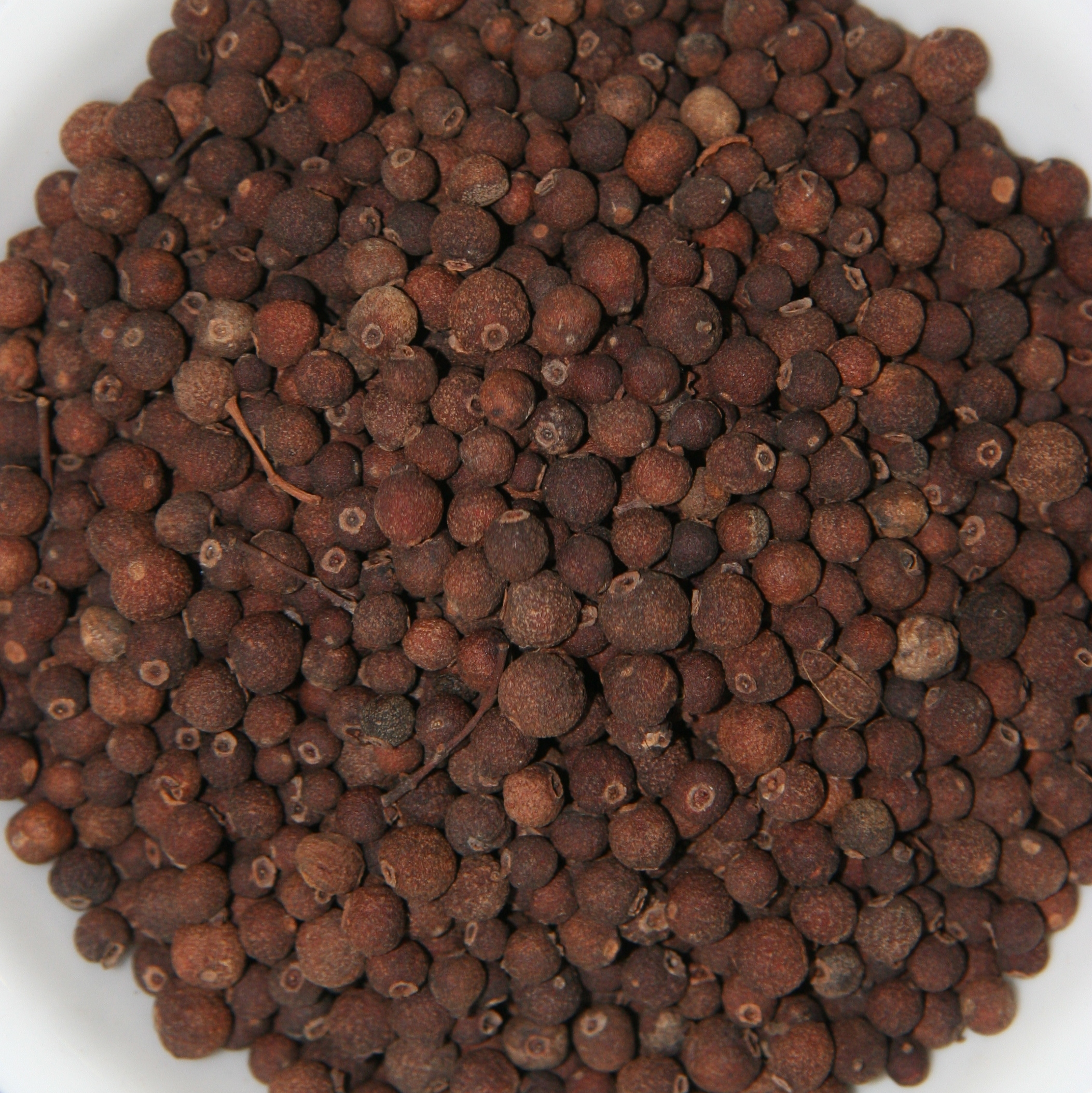 Yenibahar